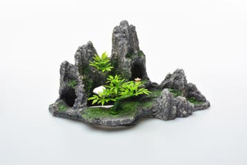 Rotsformatie met plateau en boom / Aquarium decoratie As-919, Verzenden, Gevuld zeewateraquarium
