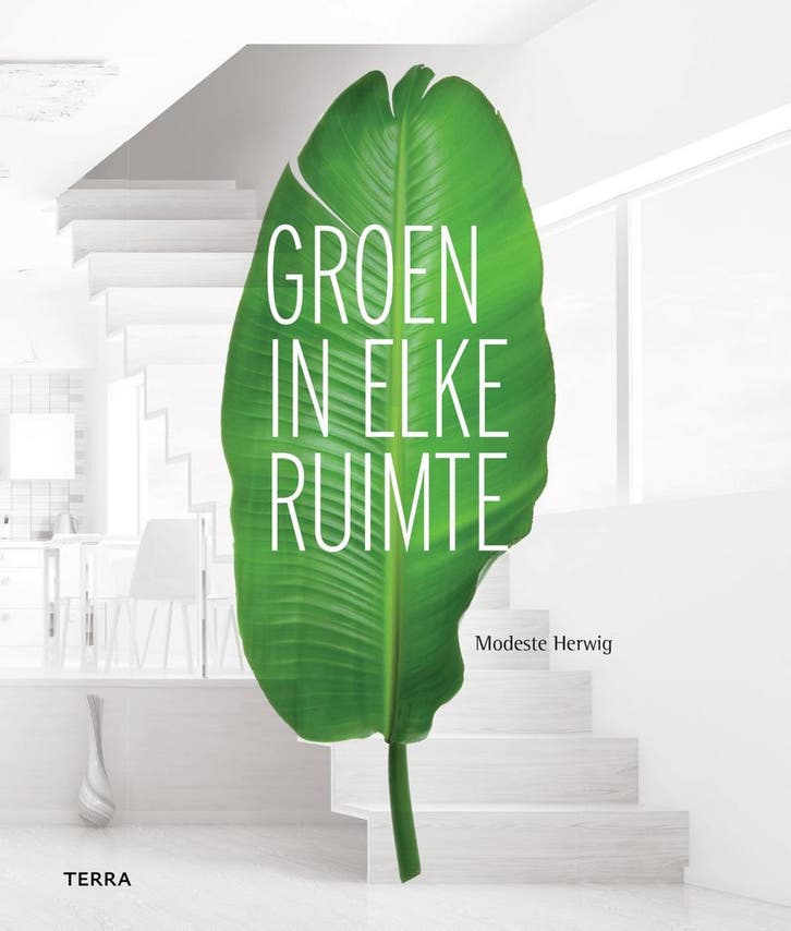 Groen in elke ruimte 9789089897268 Modeste Herwig, Boeken, Hobby en Vrije tijd, Zo goed als nieuw, Verzenden
