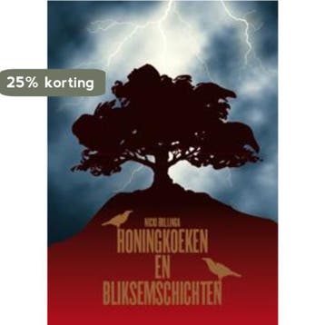 Honingkoeken en bliksemschichten 9789462037137, Verzenden, Nicki Bullinga
