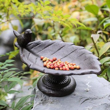 Minimalistisch Vogelbad - Gietijzer - Gietijzeren bladvormig