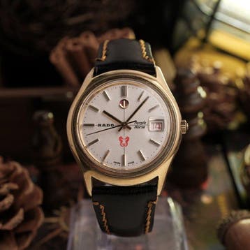 Rado - Purple Horse - Sans prix de réserve - 11795-1 - Homme, Handtassen en Accessoires, Horloges | Heren, Nieuw