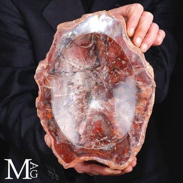 Handgemaakt versteend hout opbergbak - Een tijdloze fusie, Verzamelen