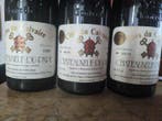 1988 Clos du Calvaire - Châteauneuf-du-Pape - 3 Bouteilles, Verzamelen, Wijnen, Nieuw