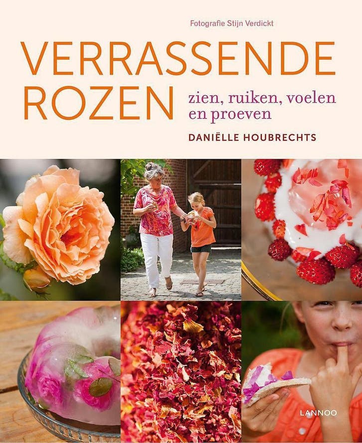 Verrassende rozen 9789401424578 Daniëlle Houbrechts, Boeken, Hobby en Vrije tijd, Gelezen, Verzenden