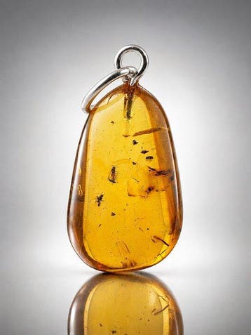 Tentoonstellingskwaliteit Baltische barnsteenhanger –