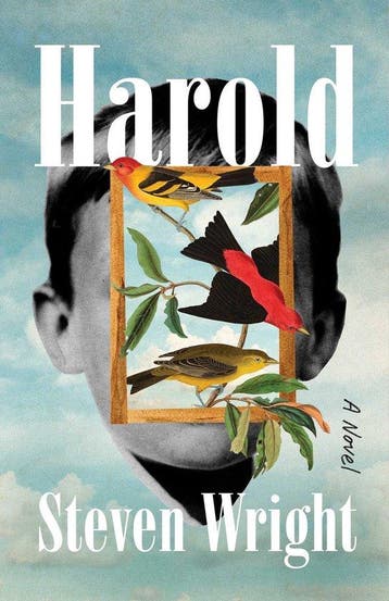 Harold 9781668022696 Steven Wright, Verzenden, Gelezen, Steven Wright