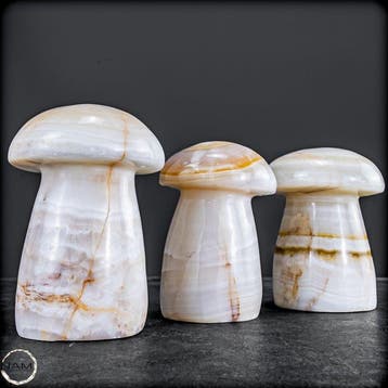 Elegante Aragoniet-paddenstoelenset – Drie met de hand