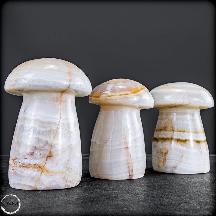 Elegante Aragoniet-paddenstoelenset – Drie met de hand, Verzamelen, Mineralen en Fossielen