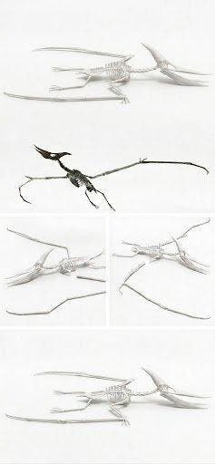 Pterosaurus - Gereconstrueerd skelet - Peteranodon REPLICA -