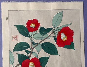 Camellia  Tsubaki - Kawarazaki Shodo  (1889-1973) -