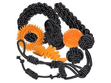 Veiling - Hondenspeelgoed set - 10 stuks, Animaux & Accessoires, Jouets pour chiens