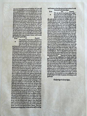 Albrecht Dürer (1471-1528), after - Apocalypsis cum Figuris