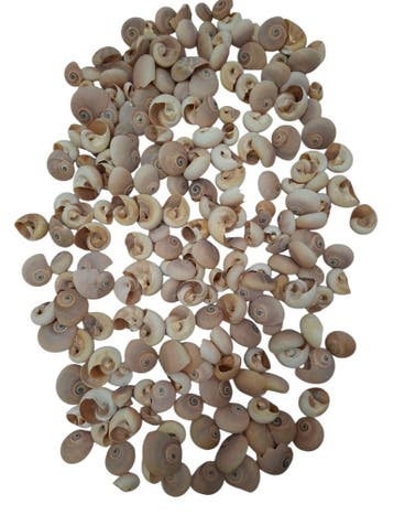 Fayence schelpen 500 gram, Nieuw