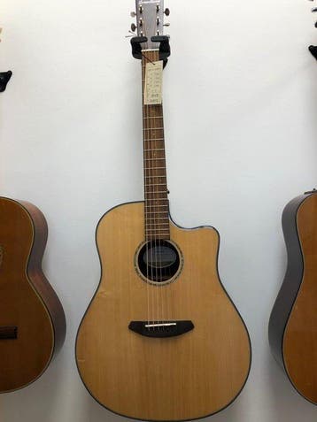 Breedlove - PSD24CE - - Elektro-akoestische gitaar, Nieuw