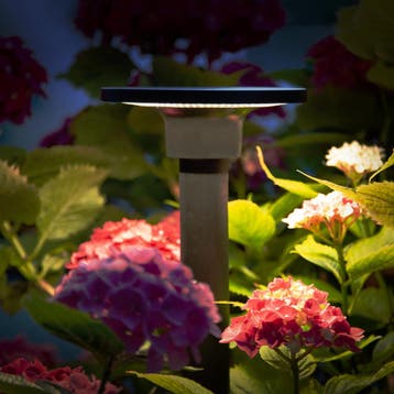 Tuinverlichting Modern Buitenlamp Shuttle led spike zwart, Verzenden, Nieuw