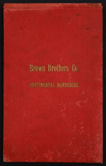 Rochester Litho Company - Brown Brothers Co. Continental