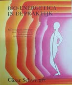 Bio-energetica in de praktyk 9789062716357 Schwieger, Boeken, Verzenden, Gelezen, Schwieger
