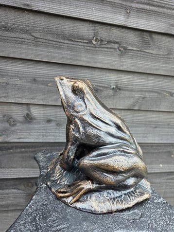 Beeld, XL Iron Frog 7.5kg - 24 cm - Gietijzer - 2026, Antiek en Kunst