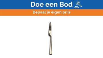 Bieden: Richard Ginori 1735 Stainless Steel, Ophalen of Verzenden, Nieuw