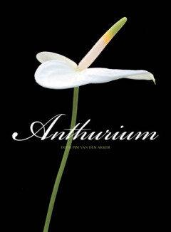 Anthurium (Goed), Verzenden, Nieuw