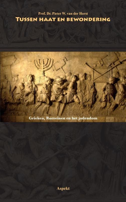 Tussen haat en bewondering 9789059118089 P.W. van der Horst, Boeken, Geschiedenis | Wereld, Zo goed als nieuw, Verzenden
