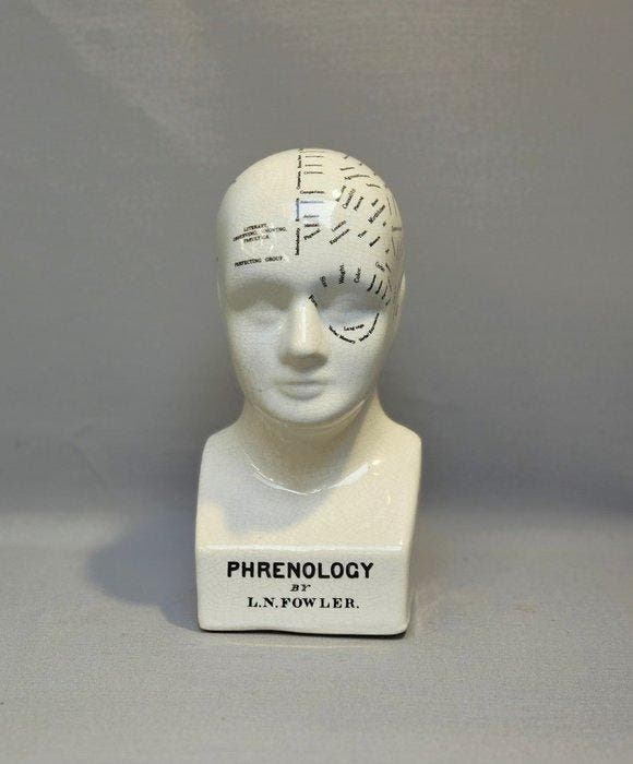 Hoofd - Klassiek Frenologie Hoofd - L.N. Fowler - Keramiek -, Antiek en Kunst, Curiosa en Brocante