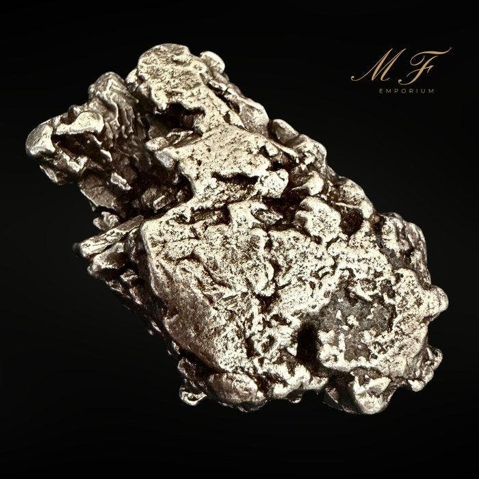 Meteoriet Campo del Cielo – Uitzonderlijk Exemplaar, Verzamelen, Mineralen en Fossielen