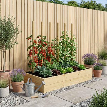 vidaXL Schuttingpalen 12 st Groen 150 cm Massief grenenhout, Tuin en Terras, Verzenden, Nieuw
