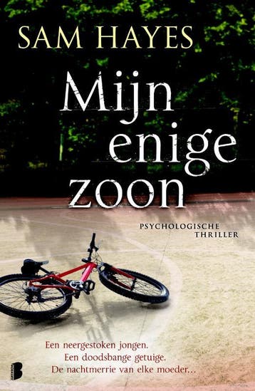 Mijn enige zoon 9789022562680 Samantha Hayes, Verzenden, Samantha Hayes