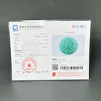 jade certifié Amulette de dragon en quartzise et jade —