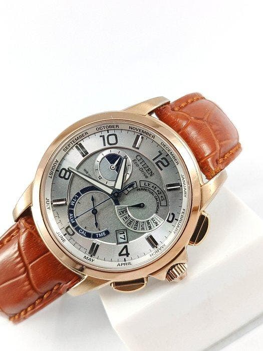 Citizen - Eco-Drive Perpetual Calendar - Sans prix de, Handtassen en Accessoires, Horloges | Heren