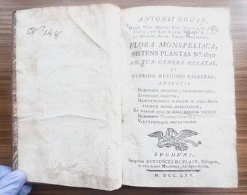 Gouan, Antoine - Flora Monspeliaca Sistens Plantas N 1850.