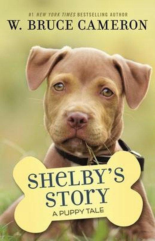 Shelbys Story 9781250301918 W. Bruce Cameron, Livres, Langue | Anglais, Envoi