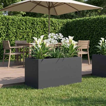 vidaXL Plantenbak Antraciet 80 x 50 x 50 cm Koudgewalst, Tuin en Terras, Verzenden, Nieuw