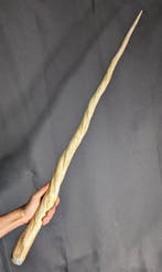 Narwhal Tand - REPLICA-Monodon monoceros - Museum Grade