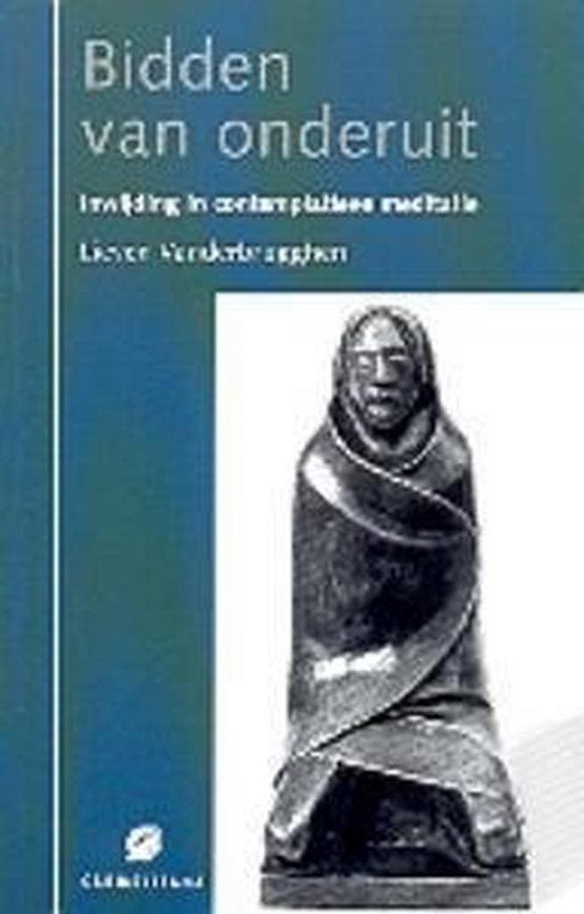 Bidden van onderuit 9789076671505 L. Vanderbrugghen, Boeken, Godsdienst en Theologie, Gelezen, Verzenden