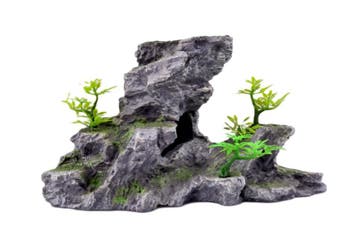 Overhange rots met bomen OS-918 - aquarium decoratie, Ophalen of Verzenden, Nieuw