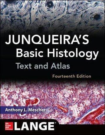 Junqueiras Basic Histology Text & Atlas 9780071842709, Boeken, Verzenden, Gelezen, AnthonyL Mescher
