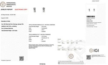 Oorbellen - 18 karaat Witgoud - 2.63ct. tw. Diamant, Nieuw