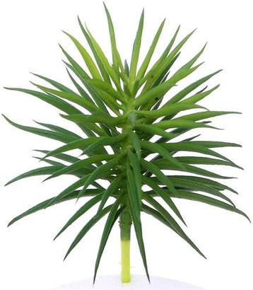 Latex Succulent 868685 Groen 12,5 cm per stuk