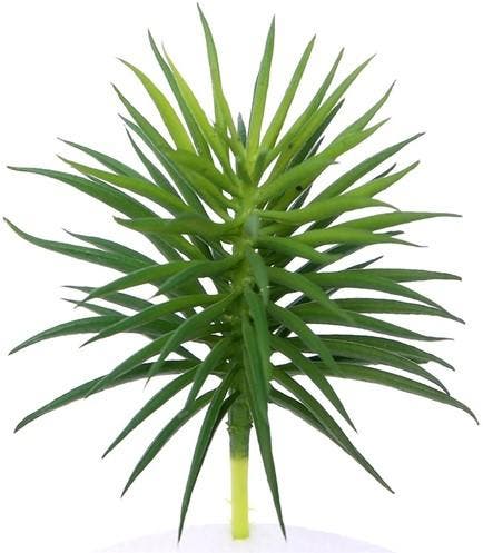 Latex Succulent 868685 Groen 12,5 cm per stuk, Maison & Meubles, Accessoires pour la Maison | Plantes & Fleurs artificielles