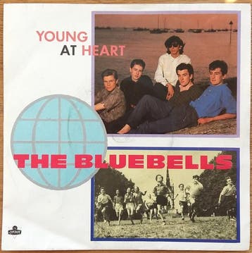 The Bluebells - Young At Heart, Verzenden, Gebruikt