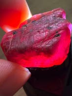 Robijn Echt juweel! Prachtige 67,75 ct uit Mozambique,