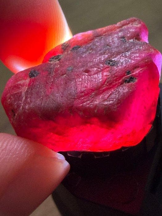 Robijn Echt juweel! Prachtige 67,75 ct uit Mozambique,, Verzamelen, Mineralen en Fossielen