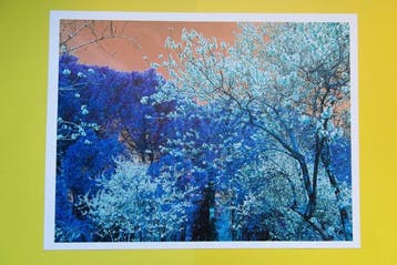 Viet Ha Tran - Nature and Seasons II