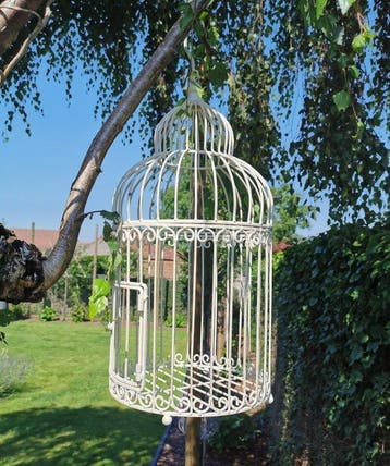 Cage à oiseaux - Fer