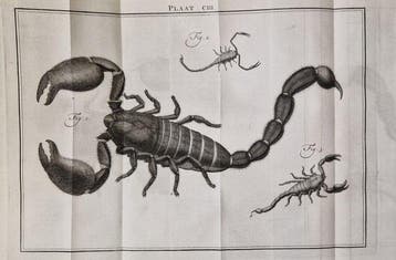 Carl Linnaeus - Natuurlyke Historie, Of uitvoerige, Antiek en Kunst