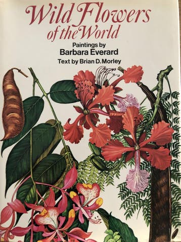 Wild Flowers of the World 9780706403213 Brain D. Morley, Verzenden, Gelezen, Brain D. Morley