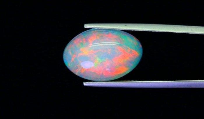 Opaal Cabochon- 1.33 g - (1), Collections, Minéraux & Fossiles