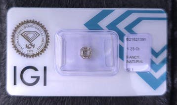 Sans prix de réserve - 1 pcs Diamant (Couleur naturelle) -, Handtassen en Accessoires, Nieuw